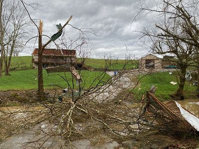 Anderson County man says he was in the basement with his dogs when a tornado ripped off his roof