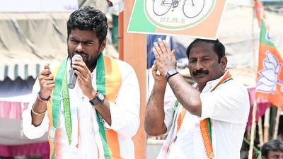 Lok Sabha polls | Centre has given ₹11 lakh crore to people of T.N. in 10 years: Annamalai