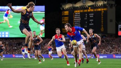 Pickett faces AFL scrutiny after Dees' win over Crows
