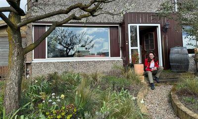 ‘We need to accept the weeds’: the Dutch ‘tile whipping’ contest seeking to restore greenery