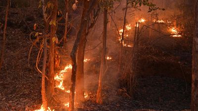 Officials put FSI data to work for combating frequent forest fires at Papikonda National Park in Chintoor of Andhra Pradesh