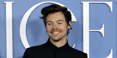 Harry Styles Fans Wanted As Tour Guides In Chester Village