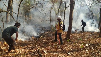 Fighting forest fires with a plan and community cooperation