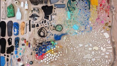 Ocean floor littered with plastic pollution: CSIRO