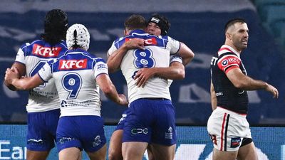 Concussions, two drug-ban returns as Dogs down Roosters