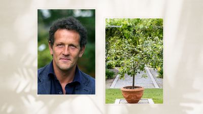 Monty Don shares his tough love approach to improve your plants this spring