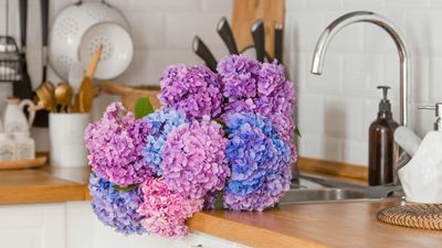 How to welcome spring into your kitchen – uplift your space in 5 simple steps