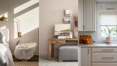 Sherwin-Williams Realist Beige is one of the most versatile paints – experts weigh in on this 'uncomplicated' neutral