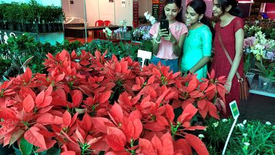 Thekkady Flower Show attracting huge crowd