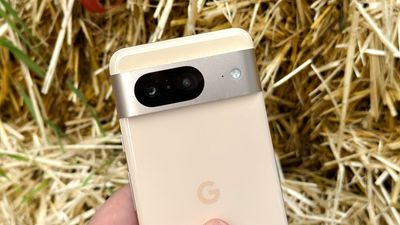 Google Pixel users could soon check unknown numbers with this new tool — here’s what we know