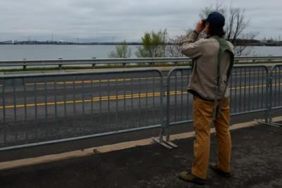 Chesapeake Bay Bridge At Risk Of Collapse After Key Bridge