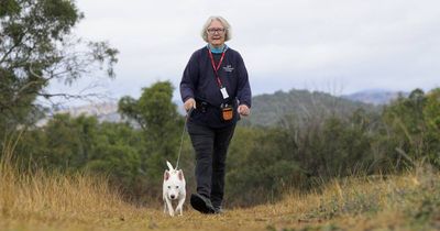 'Go for it': How Di went from diplomat to dog walker