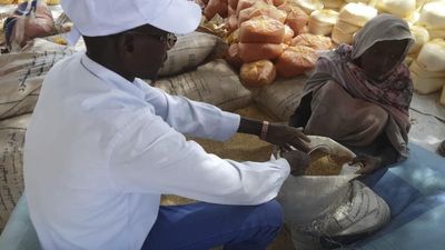 First UN food supplies arrive in Sudan's Darfur after months, millions still face acute hunger