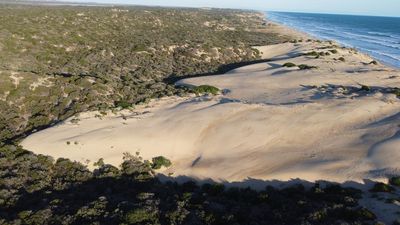 Dunes retreating from angry ocean at alarming rate
