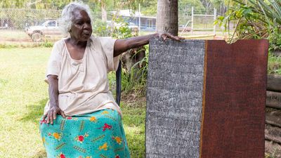 Tiwi artist still painting despite works lost in crash