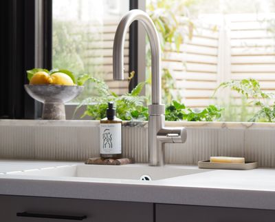 This Dish Soap Alternative Makes Your Kitchen Sink Look far More Stylish (and it's Better for the Environment, too!)