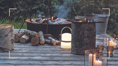 How to use ash in your garden - 6 unexpected ways to reuse burnt-out wood embers