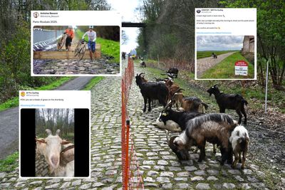 Tweets of the week: Forget the cobbles, Paris-Roubaix is now all about goats and chicanes