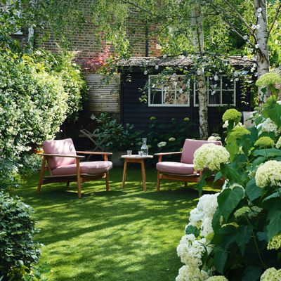 Can you put garden furniture on grass? Experts warn it could be doing more harm to your lawn than you think
