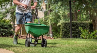 This is when and how you should fertilize your grass — tips from experts