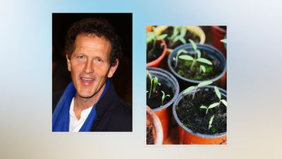 Monty Don shares his sentimental top tip for floral success this spring
