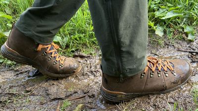 Danner Mountain 600 Leaf GTX hiking boots review: tough, grippy trailbusters, but don’t cross the streams