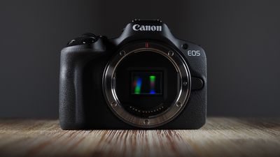 Is the Canon EOS R50 low key Canon's best all-round camera?