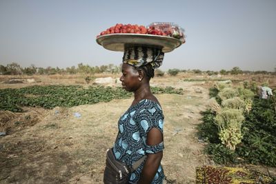 Unexpected Strawberry Crop Spins Burkina's 'Red Gold'