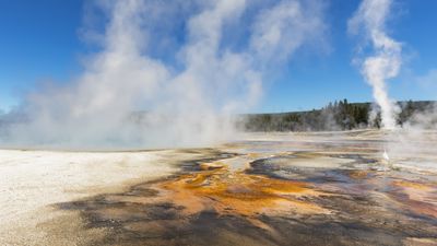 Shocked Yellowstone guide catches clueless tourist sticking hand in geyser