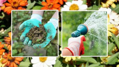 These breathable gardener's gloves have over 14,000 five-star reviews on Amazon — with more than 5000 pairs snapped up in the last month