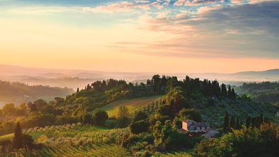 I was a gardener in Tuscany – here's how to create an Italian garden in 5 steps