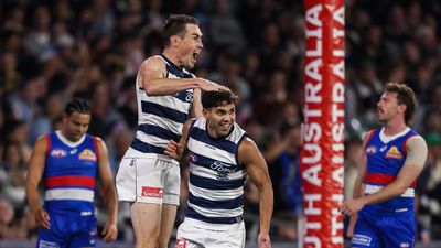Adelaide Oval hosts another AFL scoring incident
