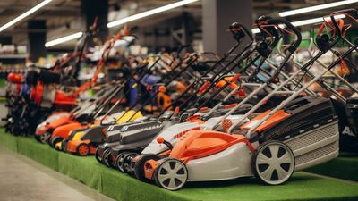 How much should you spend on a lawn mower? Advice from the experts