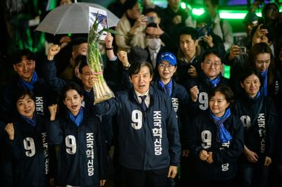 Green Onion Outcry: Humble Vegetable Roils S. Korean Vote