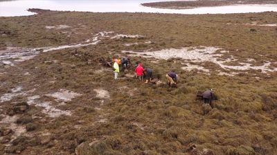Low tides reveal Bronze Age fortress that likely defended against Irish mainland