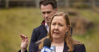 Minister says it would be 'inappropriate' to comment on Cessnock rail idea