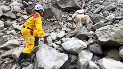 Taiwan's Search Dogs Win Hearts In Search For Quake Victims