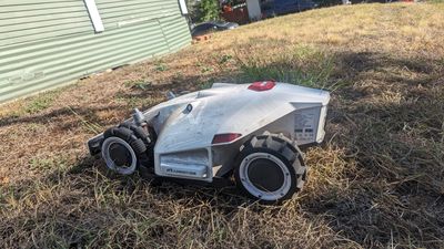 How to choose a robot lawn mower: experts wade in