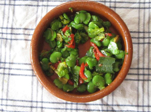 Broad beans should feature more
