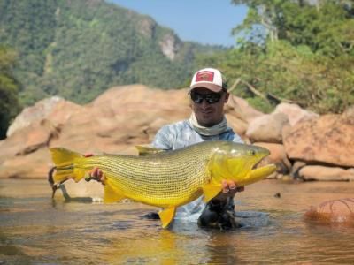 Exploring The Bolivian Amazon: Dale Steyn's Golden Dorado Adventure