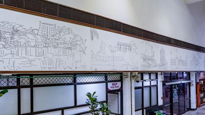 Line art mural showing Kerala’s cultural diversity to greet flyers in Thiruvananthapuram airport