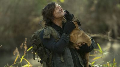 AMC’s Content Room Plans Show on ‘Walking Dead’ Dogs