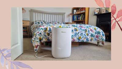 I tried the MeacoDry ABC 12L dehumidifier – its laundry drying is second to none, but it is noisy