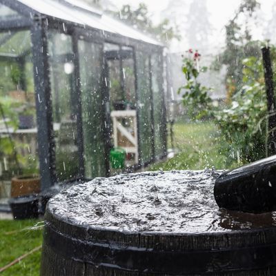 A garden water butt could save you 10% on water bills – here's how