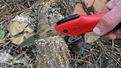 Felco 601 folding saw review: a compact beast