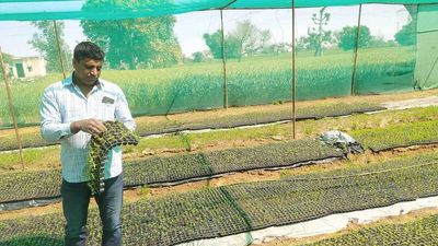Innovations in traditional methods revolutionising farming in Rajasthan’s parched Shekhawati