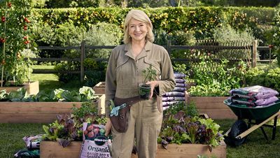 Martha Stewart's favorite way to grow vegetables in 2024 is perfect for compact spaces — “I don't think any space is too small to grow something in”