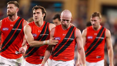 Execution, not effort, the issue at Essendon: Scott