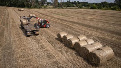 EU puts tougher restrictions on Ukraine farm imports