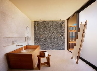 This Bathroom Trend Makes Spaces Feel More Open, Accessible, and Spa-Like — But Is It Practical?
